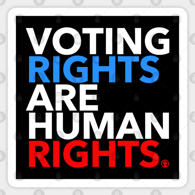 voting rights are human rights